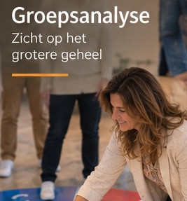 DISC groepsanalyse