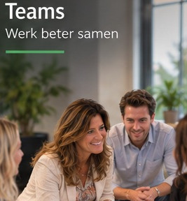 DISC en team